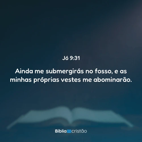 Jó 9:31