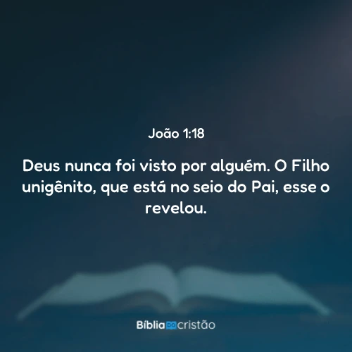 João 1:18