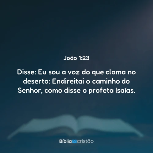 João 1:23