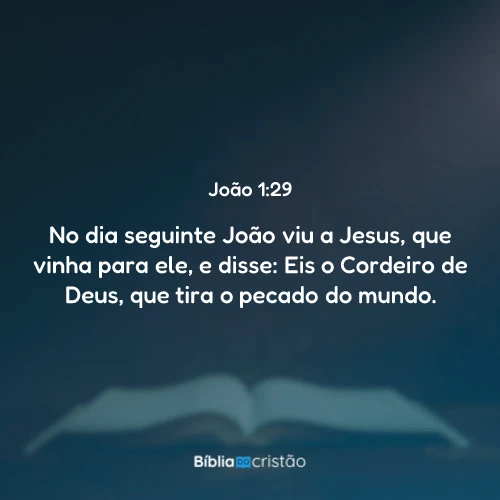 João 1:29