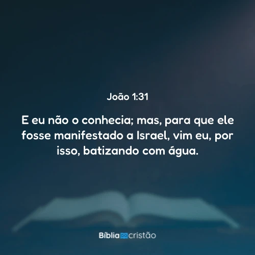 João 1:31