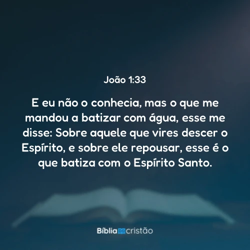 João 1:33
