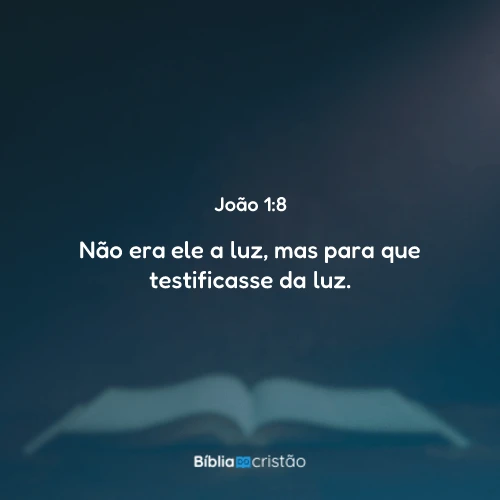 João 1:8