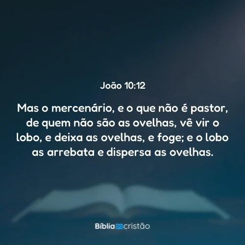 João 10:12