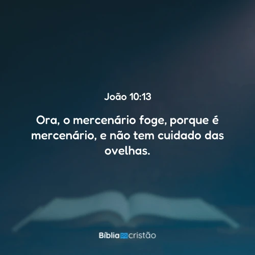 João 10:13