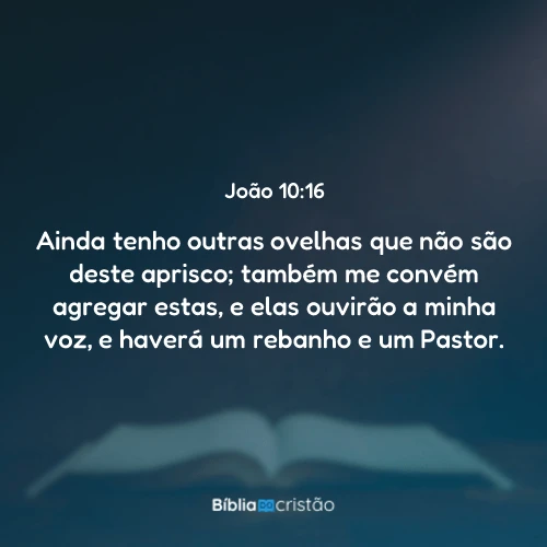 João 10:16
