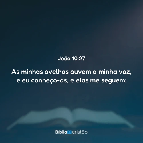 João 10:27