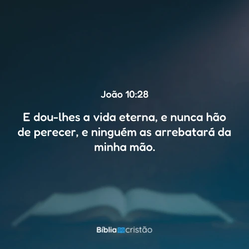 João 10:28