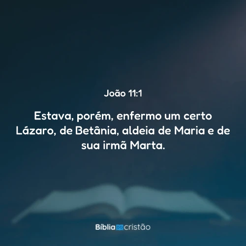 João 11:1