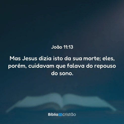 João 11:13