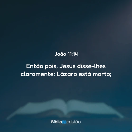 João 11:14
