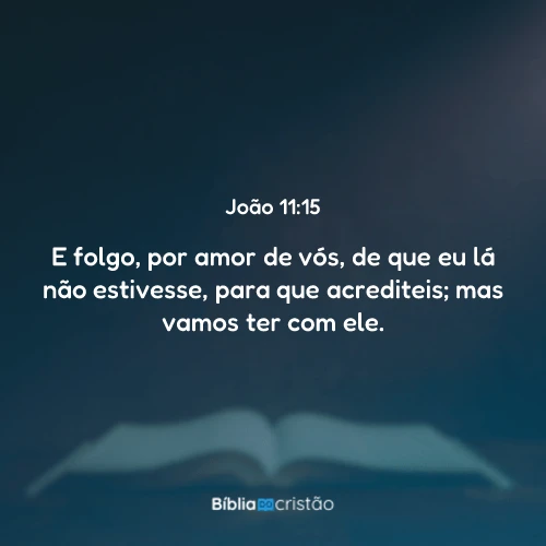 João 11:15