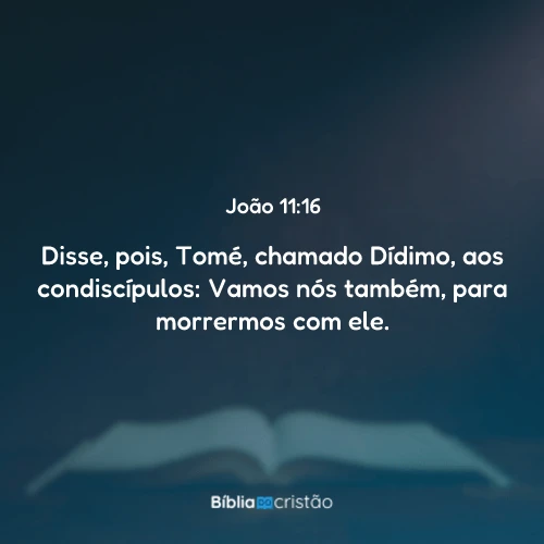 João 11:16