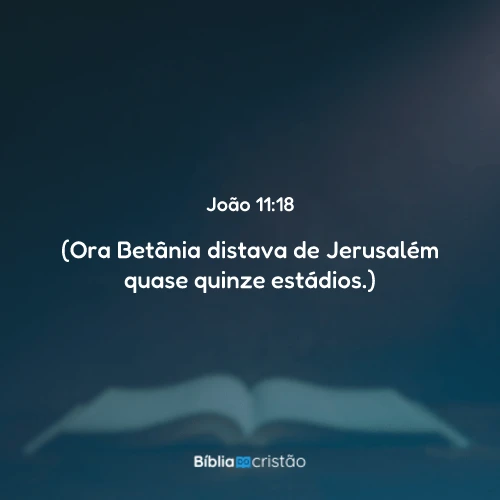 João 11:18