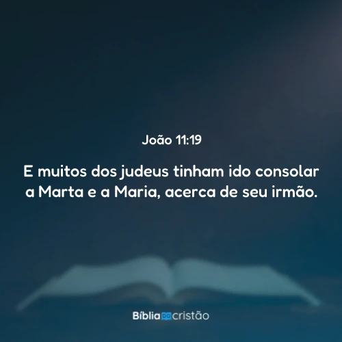 João 11:19