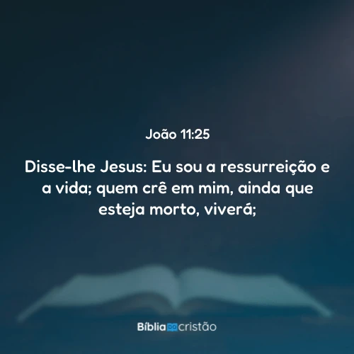 João 11:25