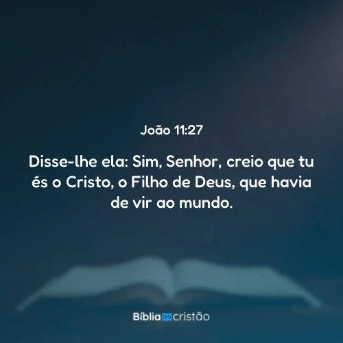 João 11:27