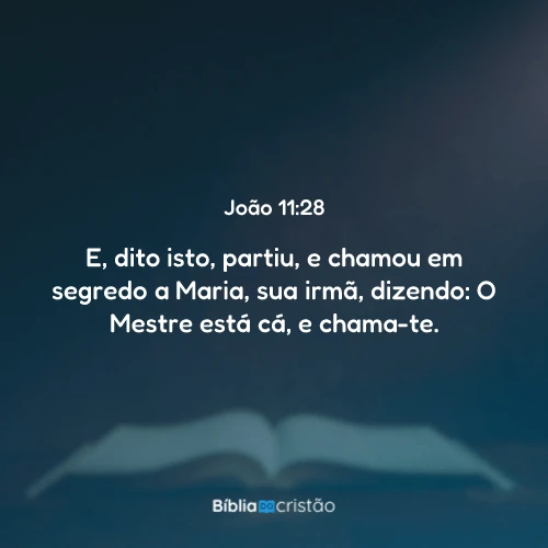 João 11:28