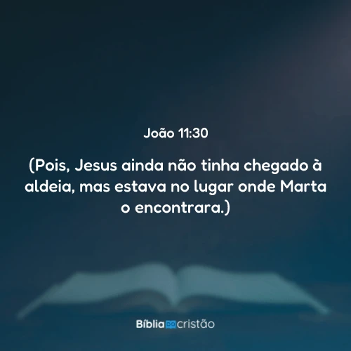 João 11:30