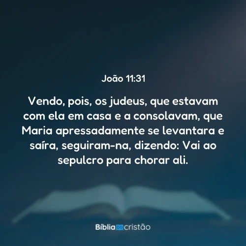 João 11:31