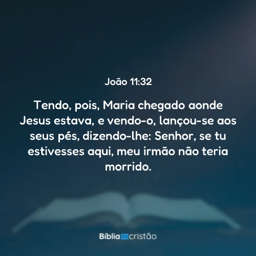 João 11:32