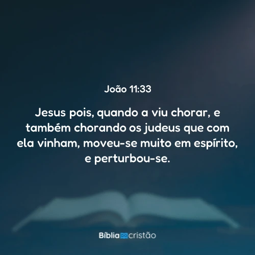 João 11:33