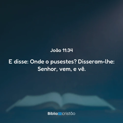 João 11:34