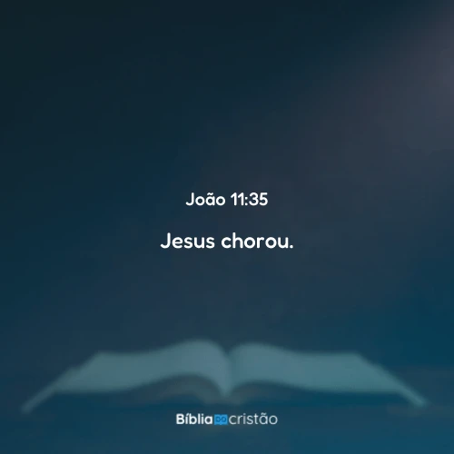 João 11:35
