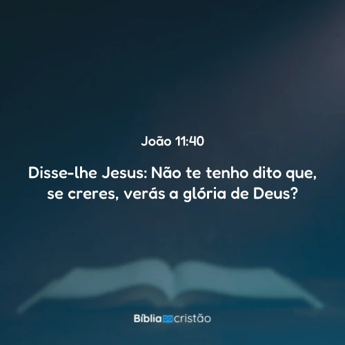 João 11:40