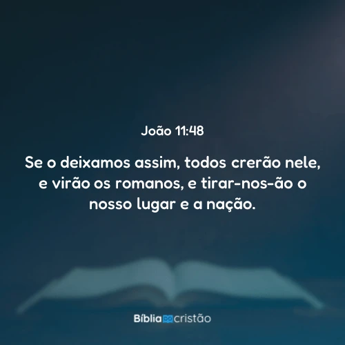 João 11:48