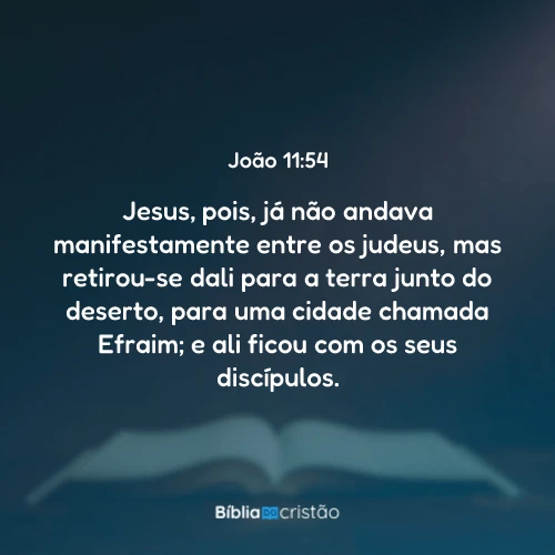 João 11:54