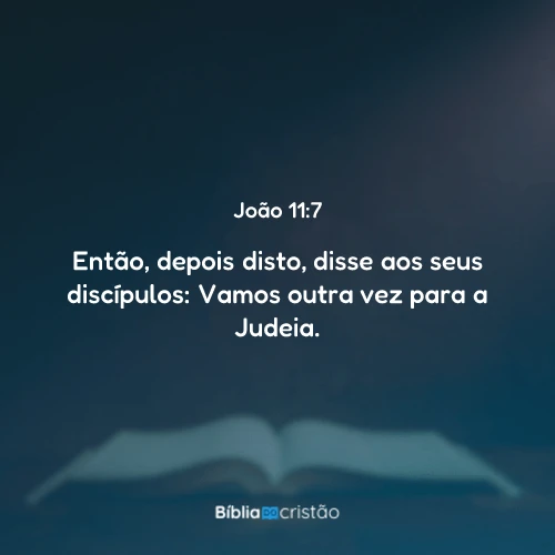 João 11:7