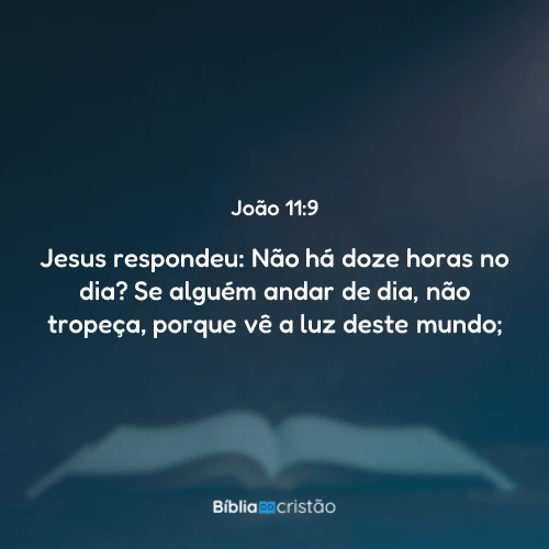 João 11:9