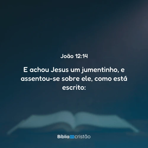 João 12:14