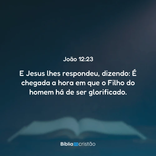 João 12:23
