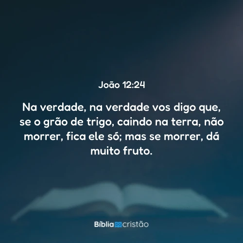 João 12:24