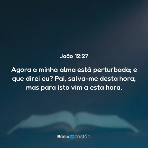 João 12:27