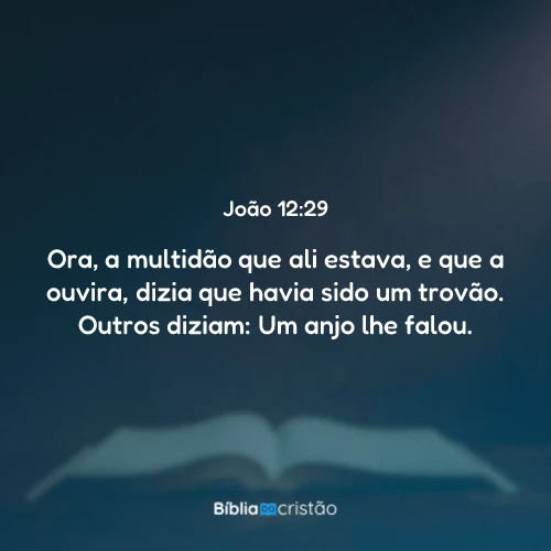 João 12:29