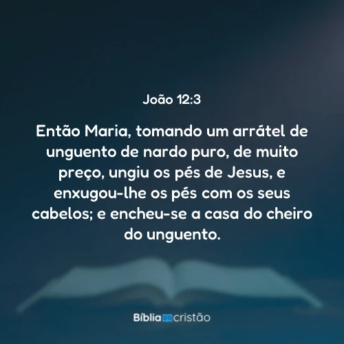 João 12:3