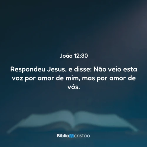 João 12:30