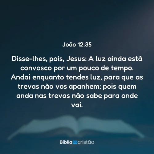 João 12:35