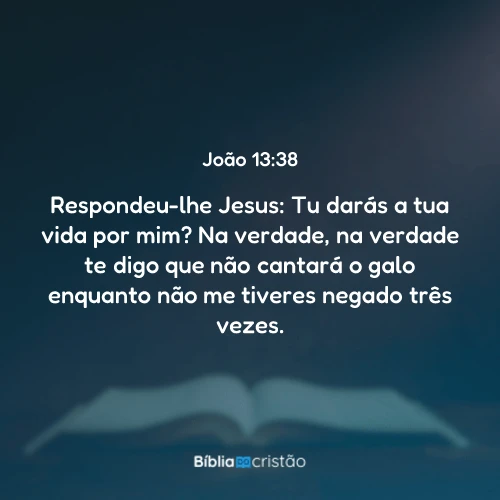 João 13:38