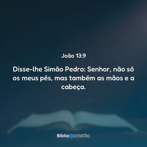 João 13:9