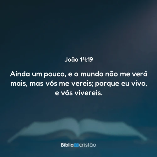 João 14:19