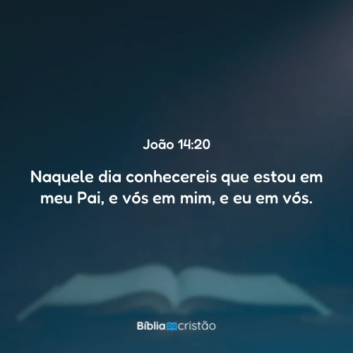 João 14:20