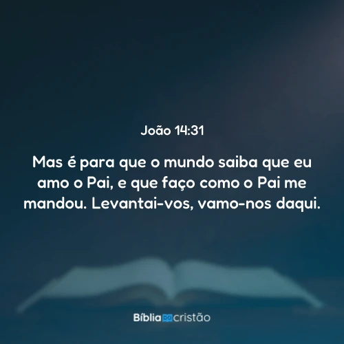 João 14:31