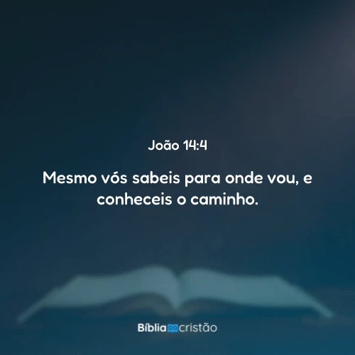 João 14:4