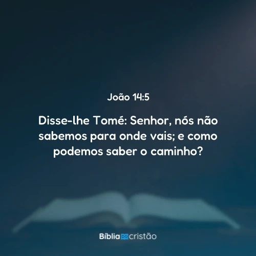 João 14:5