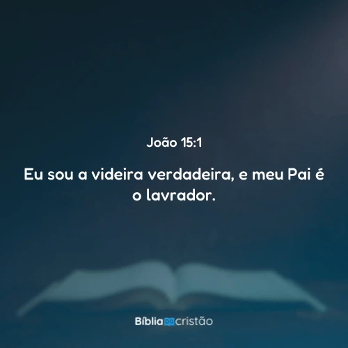 João 15:1