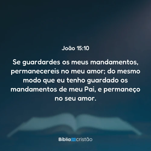 João 15:10